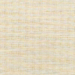 36303-1 by Kravet Fabric