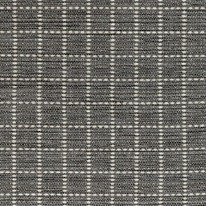 36304-21 by Kravet Fabric