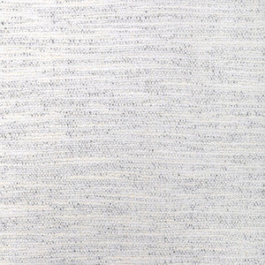 Heavy Metal Ivory Silver by Kravet Fabric