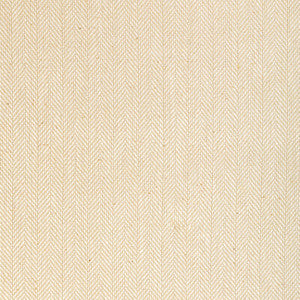 Kravet Basics 36334-161 by Kravet Fabric