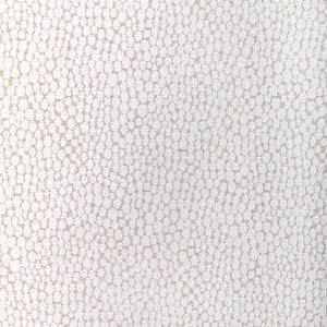 Starfall Ivory Silver by Kravet Fabric