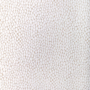 Starfall Ivory Silver by Kravet Fabric