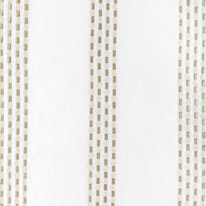 Linear Effect Champagne by Kravet Fabric