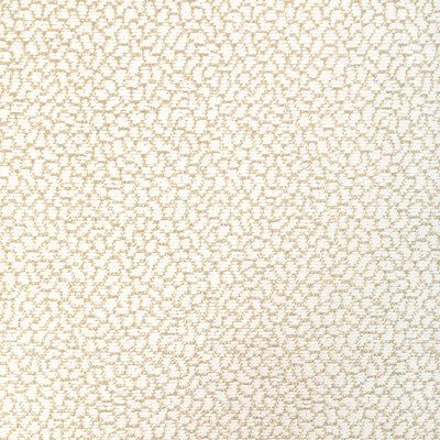 36421.161.0 by Kravet Fabric Kravet Fabric 36421.161.0Fabric PERFORMANCE CRYPTON HOME COTTON - 84%;POLYESTER - 16% United States </p><p>Repeat: H: 0, V: 0 55.75 - Fabric Carolina -