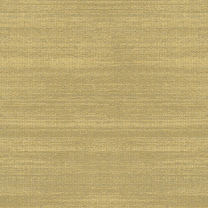 Kravet Couture 3643-414 by Kravet Couture Fabric