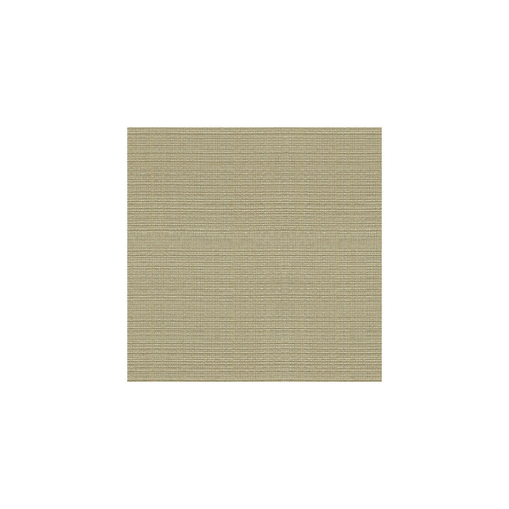 3645-11 by Kravet Couture Fabric SILK - 69%;VISCOSE - 24%;POLYESTER - 7% India Horizontal: and Vertical: 55 - Fabric Carolina -