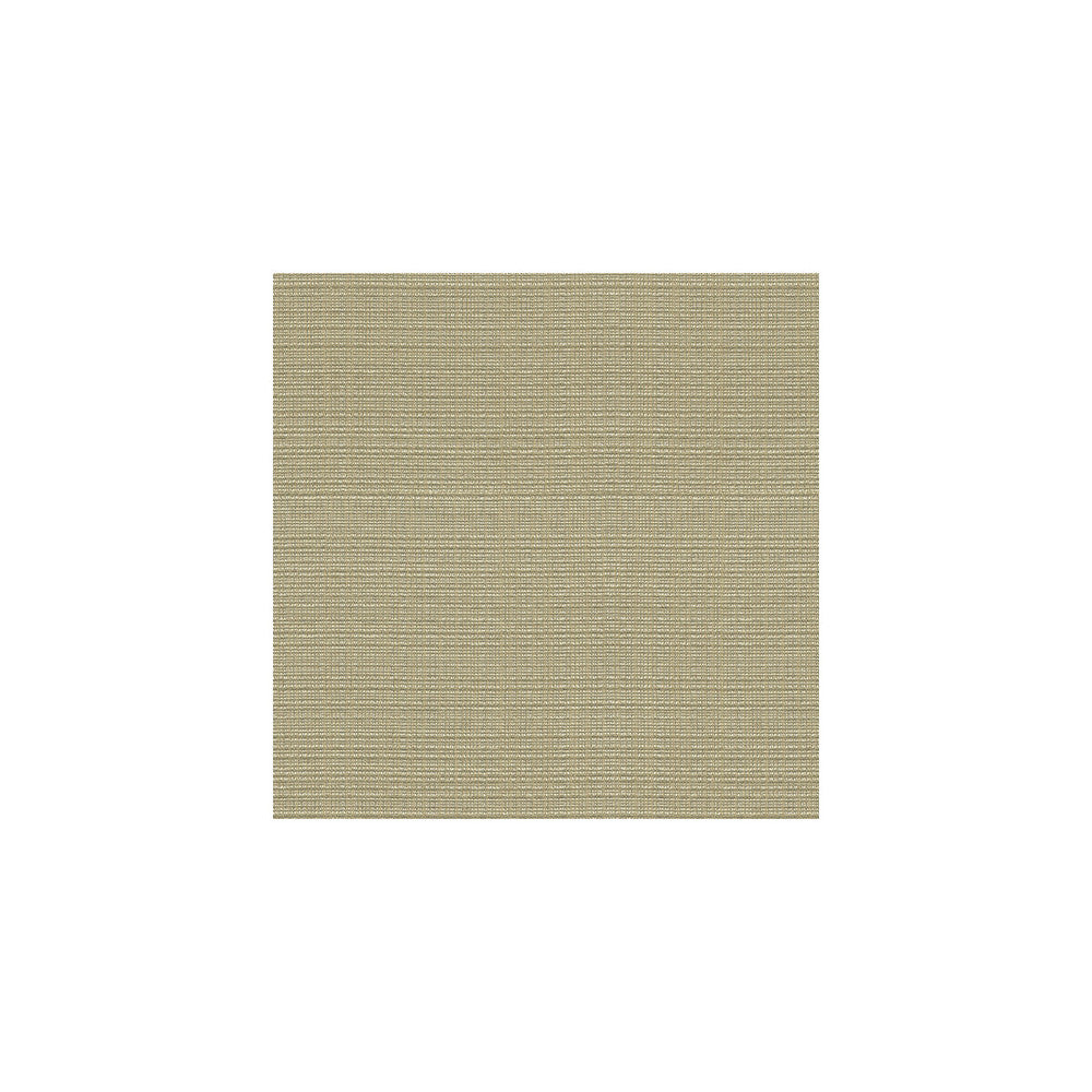 3645-11 by Kravet Couture Fabric - SILK - 69%;VISCOSE - 24%;POLYESTER - 7% India - Horizontal: - and Vertical: - 55 - Fabric Carolina -