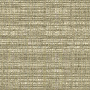Kravet Couture 3645-11 by Kravet Couture Fabric