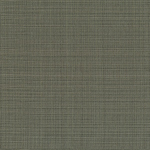 Kravet Couture 3645-21 by Kravet Couture Fabric