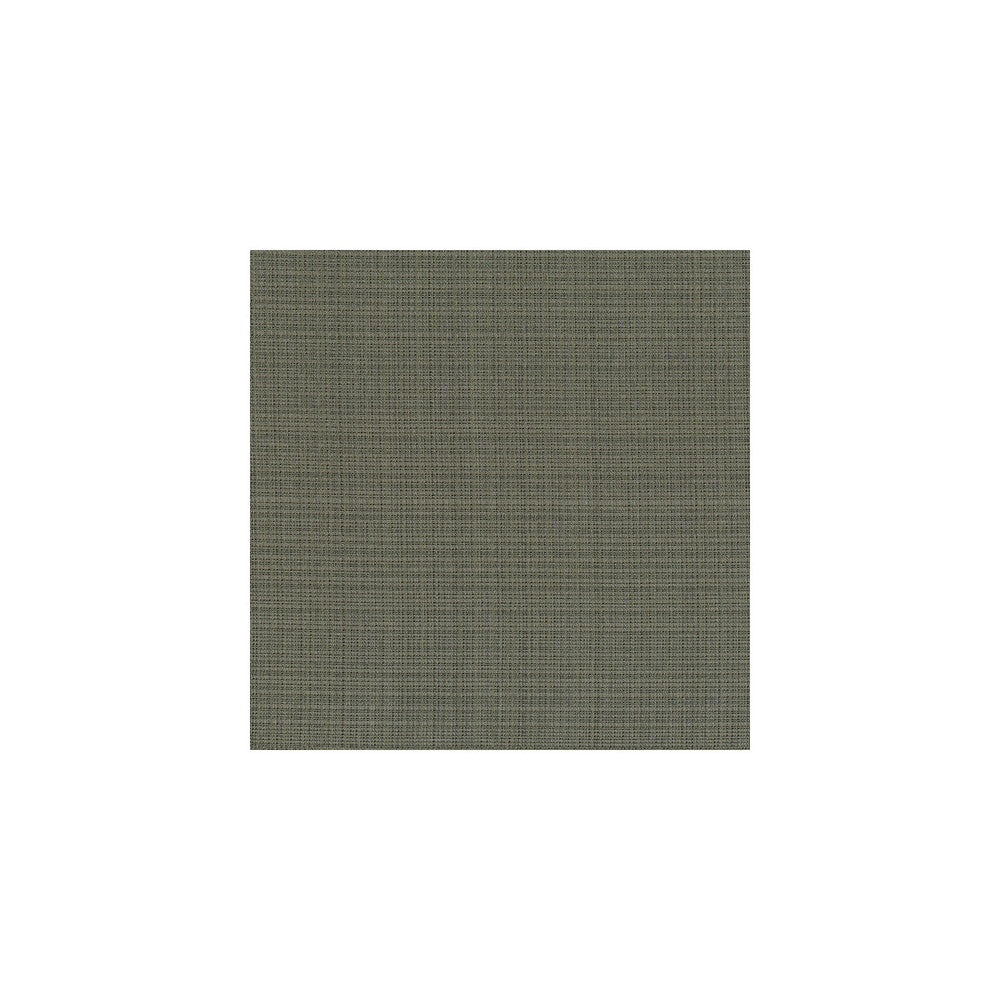 3645-21 by Kravet Couture Fabric SILK - 69%;VISCOSE - 24%;POLYESTER - 7% India Horizontal: and Vertical: 55 - Fabric Carolina -