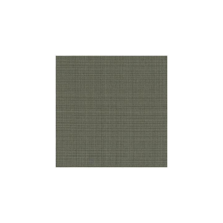 Kravet Couture 3645-21 by Kravet Couture Fabric Kravet Couture Fabric Kravet Couture 3645-21Fabric SILK - 69%;VISCOSE - 24%;POLYESTER - 7% India </p><p>Repeat: H: , V: 55 - Fabric Carolina -