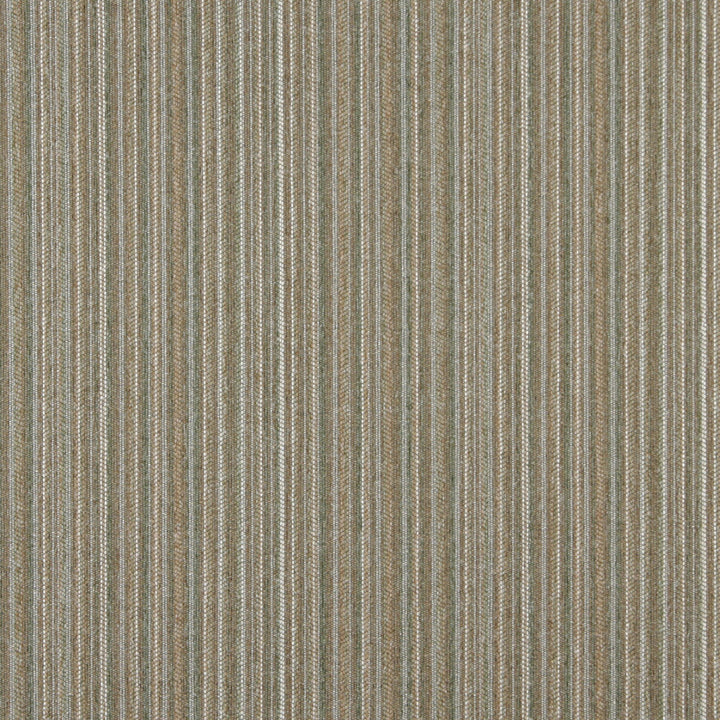 3651 Cactus by Charlotte Fabric Country Classics & Ring Book Page #39A 80% Olefin, 20% Polyester Made In USA Exceeds 150,000 Wyzenbeek Rubs (Heavy Duty) Horizontal: 9" 54 Inches - Fabric Carolina -