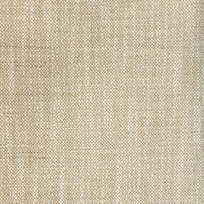 36537.1601.0 by Kravet Fabric Kravet Fabric 36537.1601.0Fabric POLYESTER - 100% India </p><p>Repeat: H: 0, V: 0 54 - Fabric Carolina -