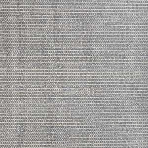 Uplift Silver Lining by Kravet Fabric