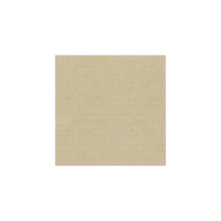 3656-16 by Kravet Couture Fabric SILK - 56%;LINEN - 44% India Horizontal: and Vertical: 55 - Fabric Carolina -
