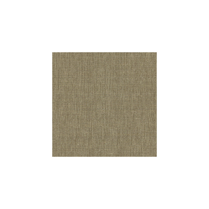 3656-811 by Kravet Couture Fabric SILK - 56%;LINEN - 44% India Horizontal: and Vertical: 55 - Fabric Carolina -