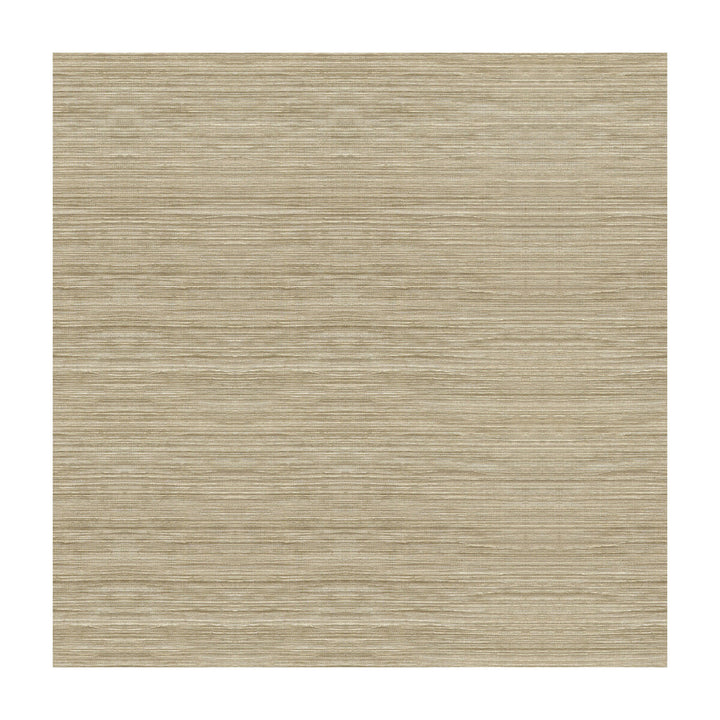Light As Air Shell by Kravet Couture Fabric MODERN LUXE II SILK - 58%;VISCOSE - 27%;POLYESTER - 15% India - Horizontal: - and Vertical: - 55 - Fabric Carolina -