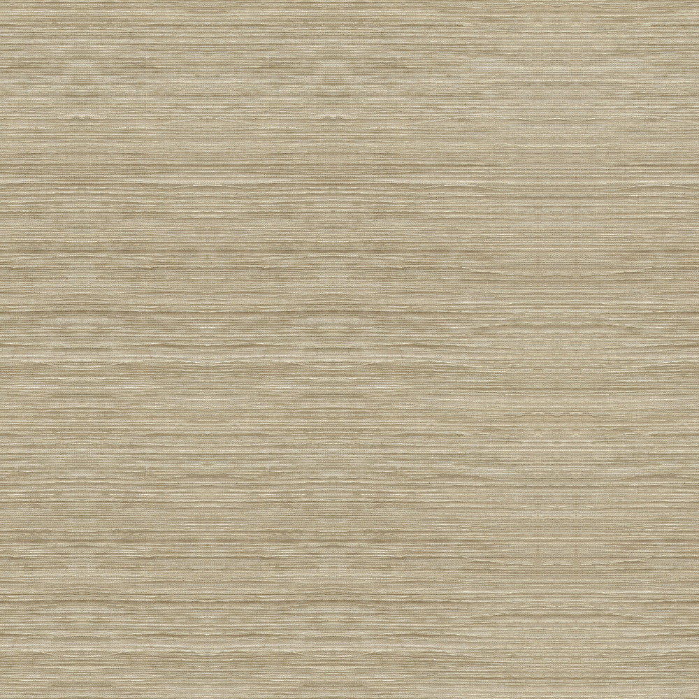Light As Air Shell by Kravet Couture Fabric