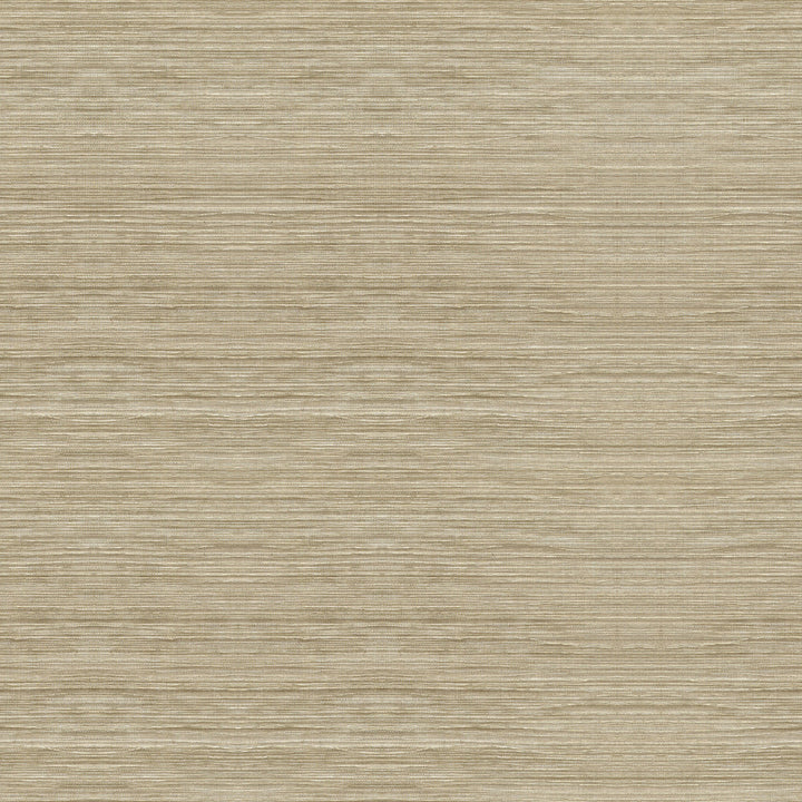 Light As Air Shell by Kravet Couture Fabric