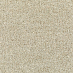 36596-1 by Kravet Fabric
