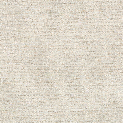 36603.111.0 by Kravet Fabric Kravet Fabric 36603.111.0Fabric MABLEY HANDLER POLYOLEFIN - 75%;SOLUTION DYED ACRYLIC - 25% Belgium </p><p>Repeat: H: , V: 53 - Fabric Carolina -