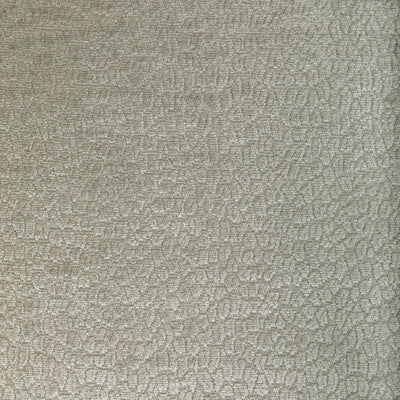36606.1101.0 by Kravet Fabric Kravet Fabric 36606.1101.0Fabric PERFORMANCE KRAVETARMOR POLYESTER - 100% China </p><p>Repeat: H: 0, V: 0 55 - Fabric Carolina -