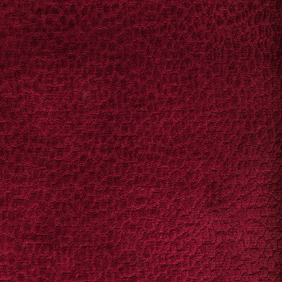 36606.19.0 by Kravet Fabric Kravet Fabric 36606.19.0Fabric PERFORMANCE KRAVETARMOR POLYESTER - 100% China </p><p>Repeat: H: 0, V: 0 55 - Fabric Carolina -