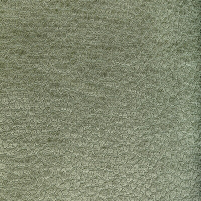 36606.303.0 by Kravet Fabric Kravet Fabric 36606.303.0Fabric PERFORMANCE KRAVETARMOR POLYESTER - 100% China </p><p>Repeat: H: 0, V: 0 55 - Fabric Carolina -