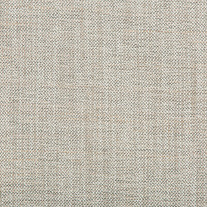 36635-11 by Kravet Fabric