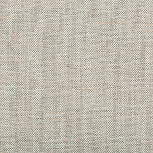 36635-11 by Kravet Fabric