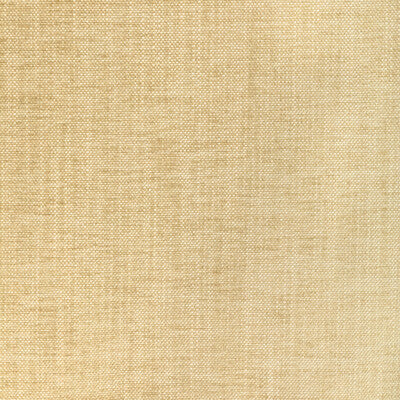 36650.1116.0 by Kravet Fabric Kravet Fabric 36650.1116.0Fabric PERFORMANCE KRAVETARMOR SPUN POLYESTER - 61%;POLYFIL - 39% India </p><p>Repeat: H: 0, V: 0 54 - Fabric Carolina -