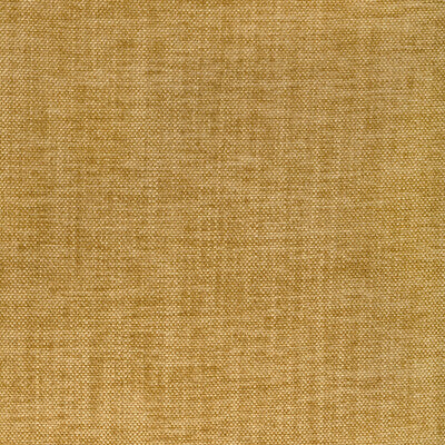 36650.4.0 by Kravet Fabric Kravet Fabric 36650.4.0Fabric PERFORMANCE KRAVETARMOR SPUN POLYESTER - 61%;POLYFIL - 39% India </p><p>Repeat: H: 0, V: 0 54 - Fabric Carolina -