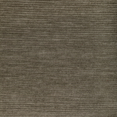 36651.106.0 by Kravet Fabric Kravet Fabric 36651.106.0Fabric PERFORMANCE KRAVETARMOR POLYFIL - 81%;SPUN POLYESTER - 19% India </p><p>Repeat: H: 0, V: 0 54 - Fabric Carolina -