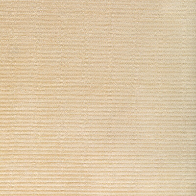 36651.1.0 by Kravet Fabric Kravet Fabric 36651.1.0Fabric PERFORMANCE KRAVETARMOR POLYFIL - 81%;SPUN POLYESTER - 19% India </p><p>Repeat: H: 0, V: 0 54 - Fabric Carolina -