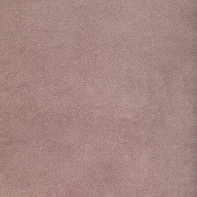 Kravet Contract Upholstery 36652.110.0 Upholstery POLYESTER - 100% Taiwan </p><p>Repeat: H: , V: 27.5 21 - My Fabric Connection -
