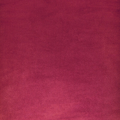 Kravet Contract Upholstery 36652.19.0 Upholstery POLYESTER - 100% Taiwan </p><p>Repeat: H: , V: 27.5 21 - My Fabric Connection -