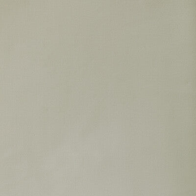 36656.121.0 by Kravet Fabric Kravet Fabric 36656.121.0Fabric COTTON - 100% India </p><p>Repeat: H: 0, V: 0 55 - Fabric Carolina -