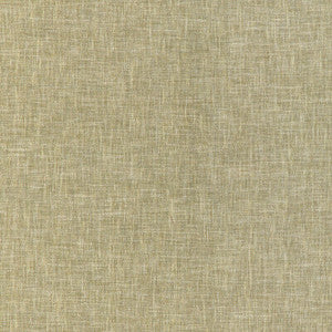 Kravet Smart 36657-123 36657.123.0 by Kravet Smart Fabric