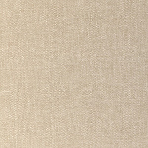 Kravet Smart 36663-1116 36663.1116.0 by Kravet Smart Fabric