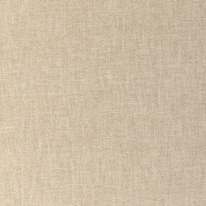 Kravet Smart 36663-1116 36663.1116.0 by Kravet Smart Fabric