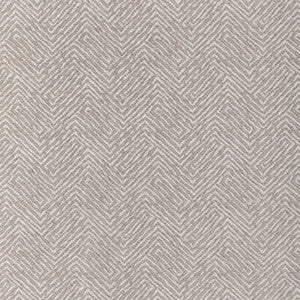 Kravet Smart 36667-1101 36667.1101.0 by Kravet Smart Fabric
