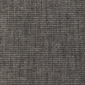 Kravet Smart 36669-1121 36669.1121.0 by Kravet Smart Fabric