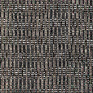 Kravet Smart 36669-1121 36669.1121.0 by Kravet Smart Fabric
