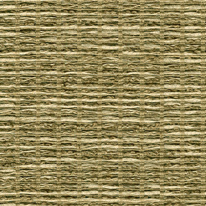 Bejo Sheer Patina by Kravet Couture Fabric