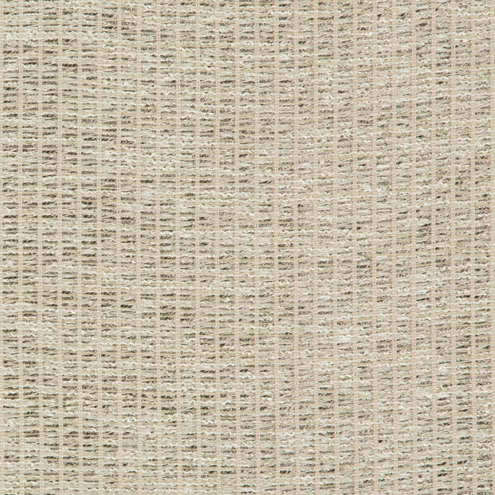 Bejo Sheer Smoke by Kravet Couture Fabric