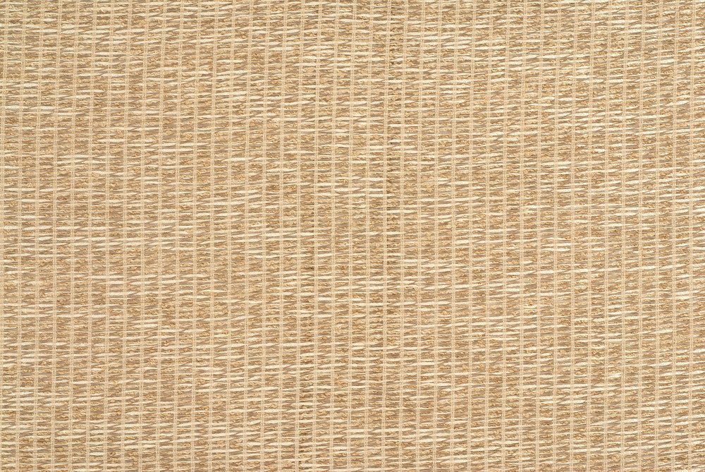 Bejo Sheer Gilt by Kravet Couture Fabric