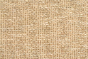 Bejo Sheer Gilt by Kravet Couture Fabric