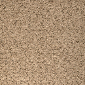 Marino Toast by Kravet Fabric