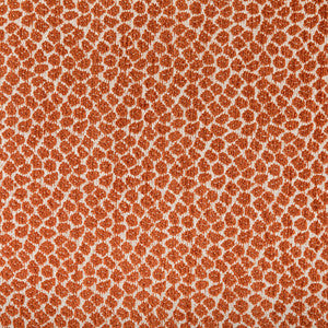 36753-12 by Kravet Fabric