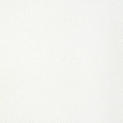Kravet Design Upholstery 36783.1.0 Upholstery VISCOSE - 52%;POLYESTER - 25%;COTTON - 16%;SILK - 7% India </p><p>Repeat: H: , V: 27.5 21 - My Fabric Connection -